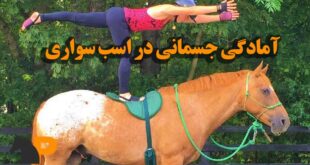 آمادگی جسمی در اسب سواری