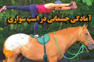 آمادگی جسمی در اسب سواری