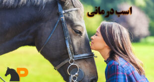 اسب درمانی