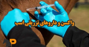 واکسن اسب